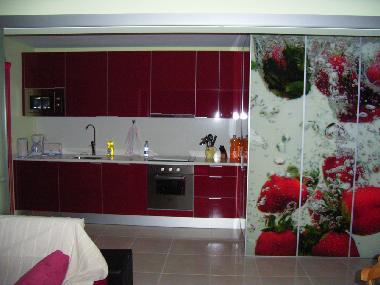 Appartement de vacances /en/au barra ilhavo (Pinhal Litoral)ou appartement ou maison de vacances