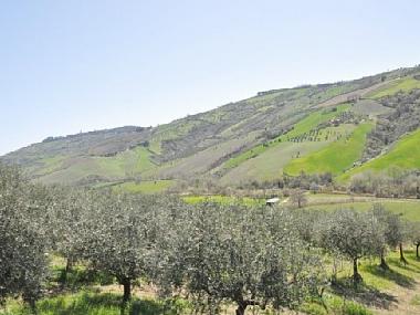 Maison de vacances /en/au Tre ciminiere di Atri (Teramo)ou appartement ou maison de vacances