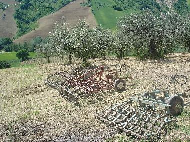 Maison de vacances /en/au Tre ciminiere di Atri (Teramo)ou appartement ou maison de vacances