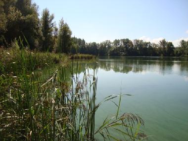 Maison de vacances �/en/au Luckenau (Halle / Saale-Unstrut)ou appartement ou maison de vacances