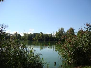Maison de vacances �/en/au Luckenau (Halle / Saale-Unstrut)ou appartement ou maison de vacances