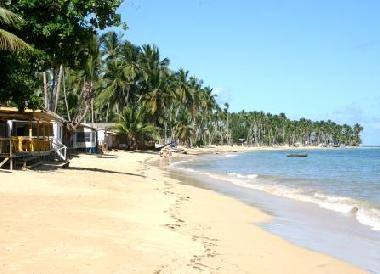 Playa las ballenas