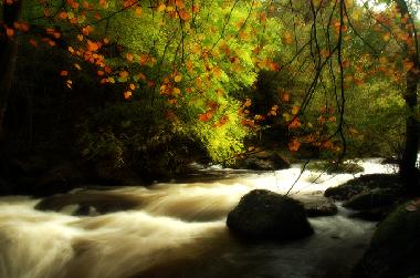 Appartement de vacances �/en/au Woolacombe (South West)ou appartement ou maison de vacances