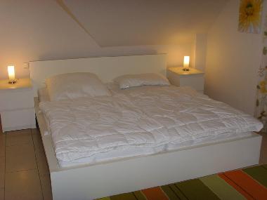 Maison de vacances /en/au Zingst (Fischland-Dar-Zingst)ou appartement ou maison de vacances