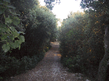 Chambre avec petit d�jeuner �/en/au Sassari (Sassari)ou appartement ou maison de vacances