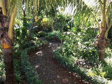 Appartement de vacances /en/au albion (Black River)ou appartement ou maison de vacances