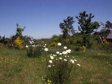 Maison de vacances �/en/au B�nnerup Strand (Arhus)ou appartement ou maison de vacances