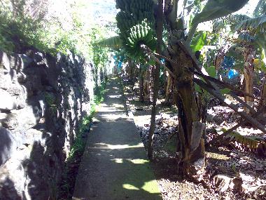 Maison de vacances �/en/au Arco da Calheta (Madeira)ou appartement ou maison de vacances