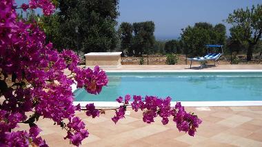 Maison de vacances /en/au Carovigno (Brindisi)ou appartement ou maison de vacances