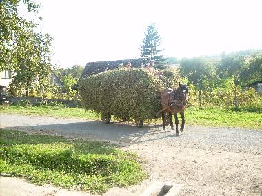Maison de vacances �/en/au Roandola (Sibiu)ou appartement ou maison de vacances