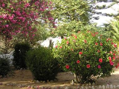 Maison de vacances /en/au Lagos (Algarve)ou appartement ou maison de vacances