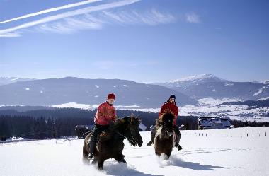 Chalet /en/au St Michael (Lungau)ou appartement ou maison de vacances