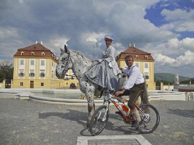Chalet /en/au St Michael (Lungau)ou appartement ou maison de vacances
