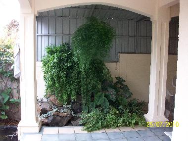 Appartement de vacances /en/au albion (Black River)ou appartement ou maison de vacances