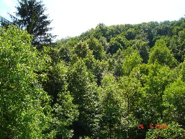 Maison de vacances �/en/au Ciginj (Tolmin)ou appartement ou maison de vacances
