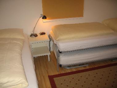 Appartement de vacances /en/au Saalbach (Pinzgau-Pongau)ou appartement ou maison de vacances