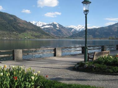 Appartement de vacances /en/au Saalbach (Pinzgau-Pongau)ou appartement ou maison de vacances