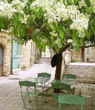 Appartement de vacances /en/au Uzes (Gard)ou appartement ou maison de vacances