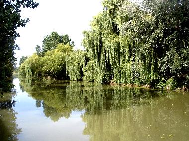 La rivire (La Vende)