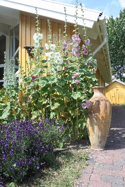 Maison de vacances �/en/au Vejby (Frederiksborg)ou appartement ou maison de vacances