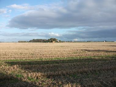 Maison de vacances �/en/au Friedrichskoog-Spitze (Nordsee-Festland)ou appartement ou maison de vacances