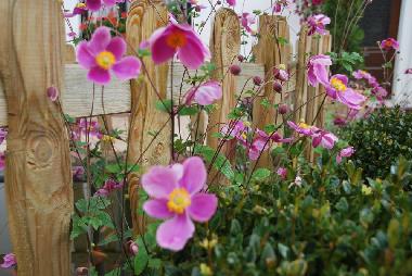 Maison de vacances /en/au Falisolle (Wallonia)ou appartement ou maison de vacances