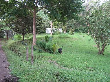 Maison de vacances �/en/au Estrada/PreCarrillo (Guanacaste)ou appartement ou maison de vacances