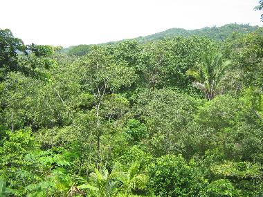 Maison de vacances �/en/au Estrada/PreCarrillo (Guanacaste)ou appartement ou maison de vacances