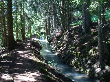 Bisse d