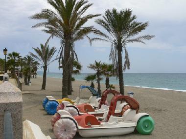 Appartement de vacances �/en/au San Pedro Alcantara (M�laga)ou appartement ou maison de vacances