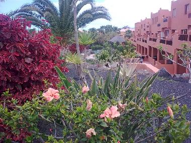 Appartement de vacances /en/au Corralejo (Fuerteventura)ou appartement ou maison de vacances