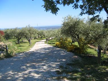 Chambre avec petit d�jeuner �/en/au AVILA (�vila)ou appartement ou maison de vacances