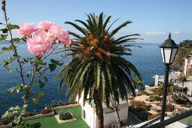 Appartement de vacances /en/au Funchal (Madeira)ou appartement ou maison de vacances