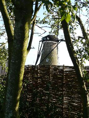 Appartement de vacances /en/au Nieuwvliet  (Zeeland)ou appartement ou maison de vacances