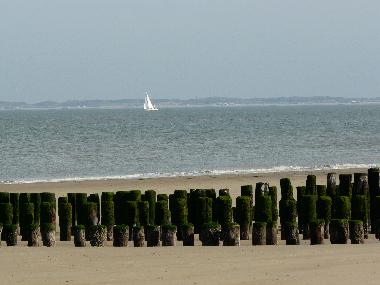Appartement de vacances /en/au Nieuwvliet  (Zeeland)ou appartement ou maison de vacances