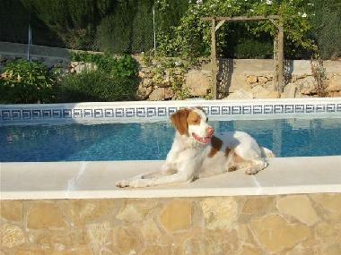 Appartement de vacances /en/au Benaguasil  (Valencia / Valncia)ou appartement ou maison de vacances