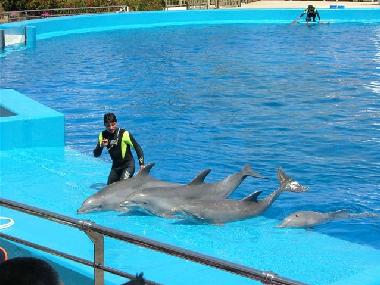 Appartement de vacances /en/au Benaguasil  (Valencia / Valncia)ou appartement ou maison de vacances