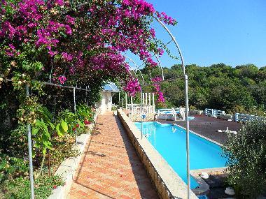 Chambre avec petit d�jeuner �/en/au Lile Pag Novalja  (Licko-Senjska)ou appartement ou maison de vacances