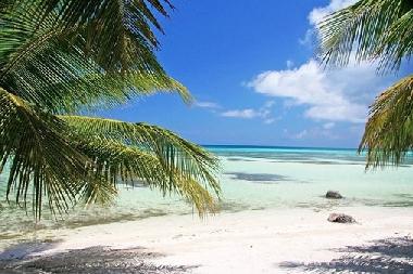 Appartement de vacances �/en/au dominicus (La Romana)ou appartement ou maison de vacances