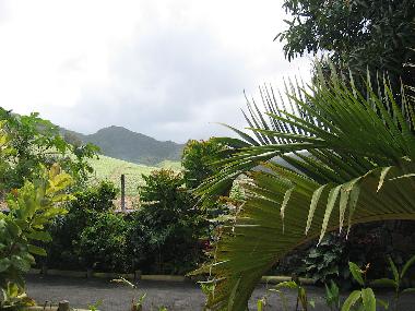 Maison de vacances /en/au ANSE JONCHEE (Grand Port)ou appartement ou maison de vacances
