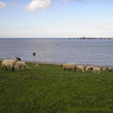 Appartement de vacances /en/au Hooksiel (Nordsee-Festland / Ostfriesland)ou appartement ou maison de vacances