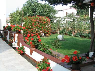 Appartement de vacances /en/au Fazana (Istarska)ou appartement ou maison de vacances