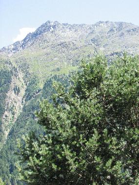 Appartement de vacances �/en/au S�lden (Tiroler Oberland)ou appartement ou maison de vacances