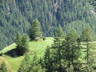Appartement de vacances �/en/au S�lden (Tiroler Oberland)ou appartement ou maison de vacances