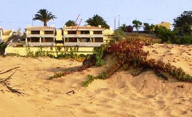 Appartement de vacances �/en/au Porto Santo (Madeira)ou appartement ou maison de vacances
