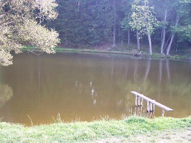 Maison de vacances �/en/au Konstantinovy Lazne (Plzensky Kraj)ou appartement ou maison de vacances