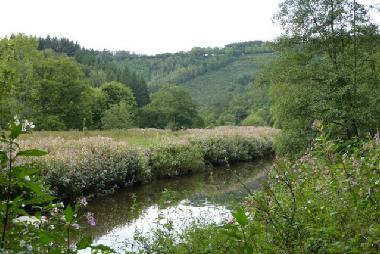 Appartement de vacances �/en/au Paliseul (Wallonia)ou appartement ou maison de vacances