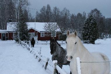 Maison de vacances �/en/au Sk�fshult/VIMMERBY (Smaland)ou appartement ou maison de vacances