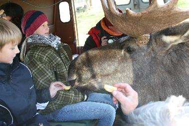 Maison de vacances �/en/au Sk�fshult/VIMMERBY (Smaland)ou appartement ou maison de vacances