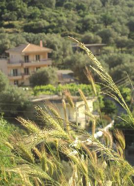 Maison de vacances �/en/au Igoumenitsa (Thesprotia)ou appartement ou maison de vacances